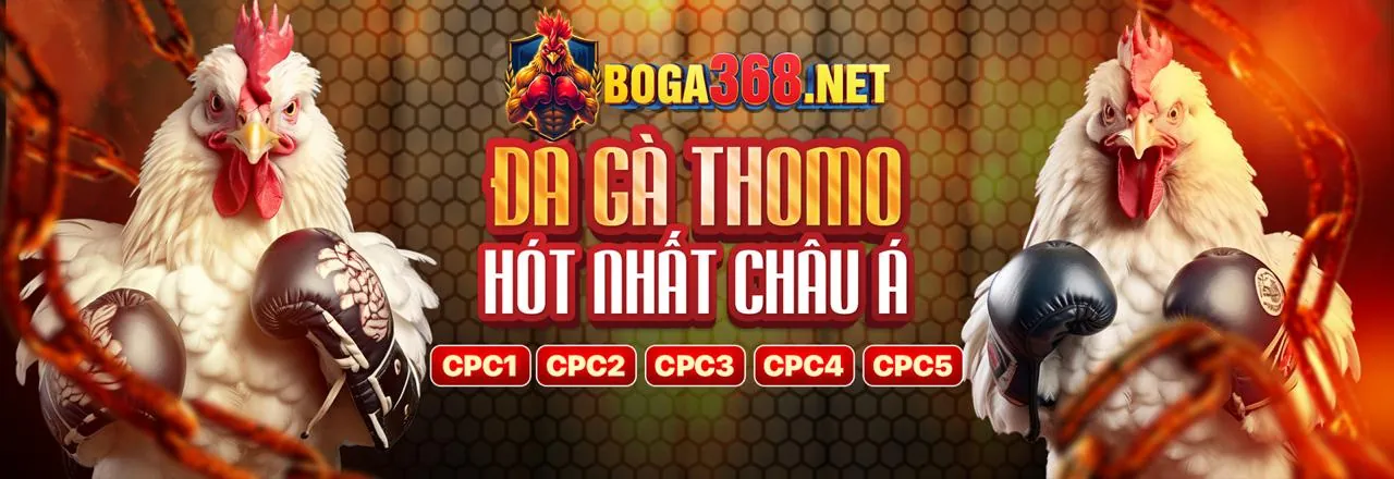 Hình ảnh nền cá cược thể thao và đá gà trực tuyến i9bet141 đá gà